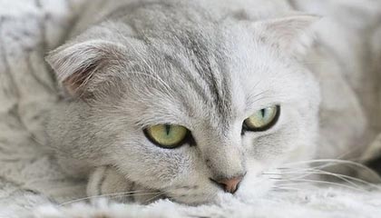 九游登录入口：开启极致游戏体验的新入口