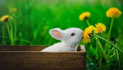 九游入口：一次简单的起点，让游戏世界触手可及